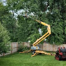 Best Tree Preservation Services  in Richland, WA