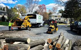 Best Tree Cabling and Bracing  in Richland, WA