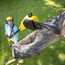 Best Aeration Services  in Richland, WA