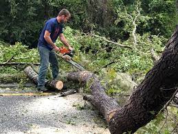 Best Commercial Tree Services  in Richland, WA